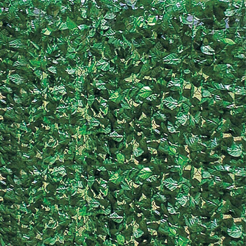 Arelle sempreverdi a doppia schermatura lauro ferliving - 100x300 cm.